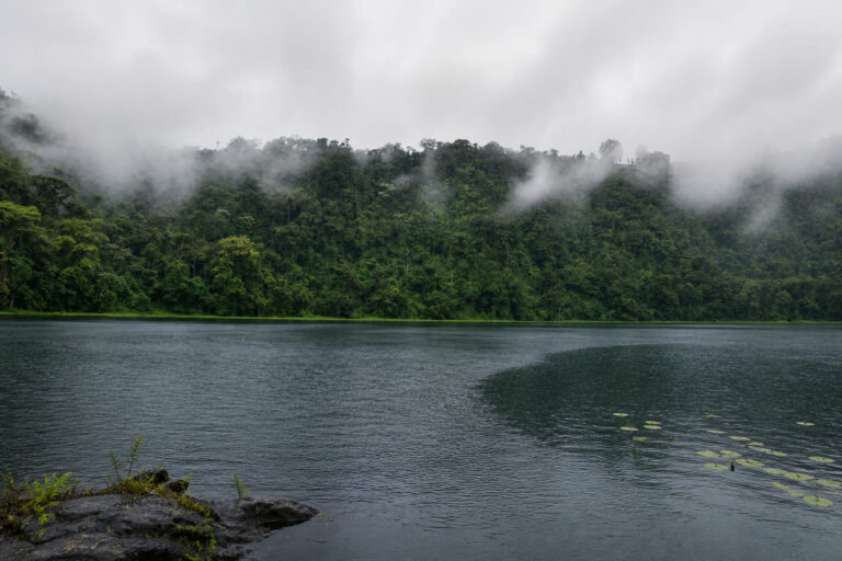 Environmental Protection_SIERA (1)
